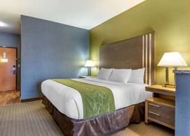 Comfort Suites Southgate-Detroit 5