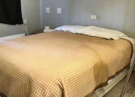 Mi Amor Inn & Suites by Hotel O Dallas Tx Hwy 352 4