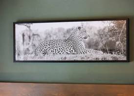Tomo Safari Lodge 3
