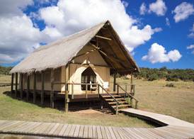 Gorah Elephant Camp 5
