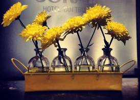SORAT Hotel Cottbus 2