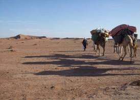Nomads Life Style 4