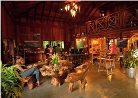 Jungle Bay Dominica 2