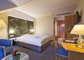 Erikson Hotel 4