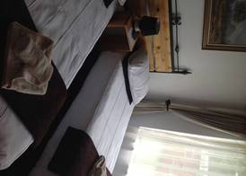 Gorgeous Gecko Guesthouse 2