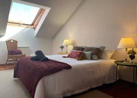 Luxury Singular Apartments Green 2