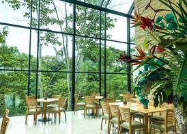 Summit Rainforest Golf Resort & All Inclusive 2