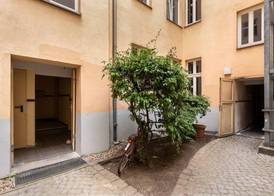 Numa Berlin Kater 2