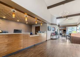 Best Western Plus Forest Park Inn 5