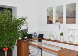 B&B La Movida 3