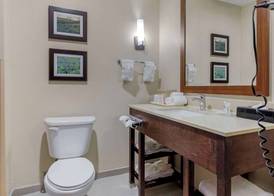 Comfort Suites Benbrook - Fort Worth Southwest 5