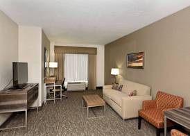Holiday Inn St. George Convention Center by IHG 3