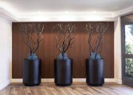 Fairfield Inn & Suites By Marriott Camarillo 4