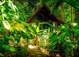 Oxygen Jungle Villas & Spa 4