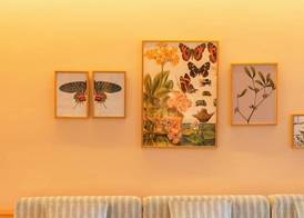 Inturotel Esmeralda Garden 4