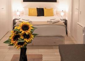 Oshun Plaza Castilla 5