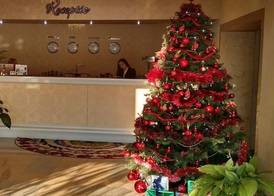 Hotel Ozana 4