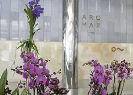 Hotel Aromar 2