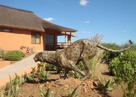 Babson House at Cheetah Conservation Fund 4