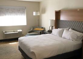 Holiday Inn SELMA-SWANCOURT by IHG 3