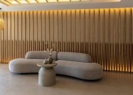 Pefkian Ethos Hotel & Suites 2