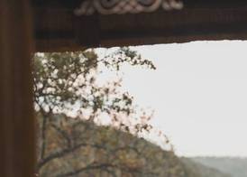 Leopard Mountain Safari Lodge 5
