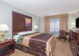 Super 8 by Wyndham Innisfail 5