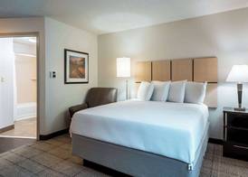 Sonesta Simply Suites Dallas Richardson 3