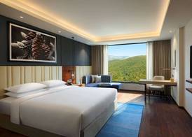 Hyatt Regency Dehradun Resort and Spa 5