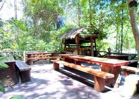 Khao Sok Tree House Resort 4
