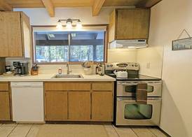 Pine Needle 2 5