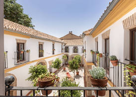Cats Hostel Córdoba 5