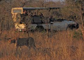 Hamiltons Tented Camp 4