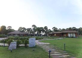 LA PALMERA 3