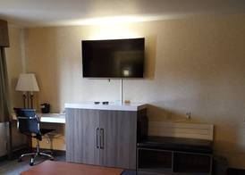 Lavissh Inn and Suites 4