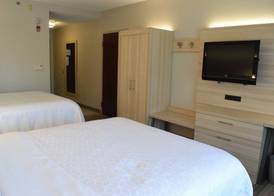 Holiday Inn Express & Suites ROCHESTER WEBSTER by IHG 3