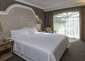 Holiday Inn QUERETARO-CENTRO HISTORICO by IHG 5