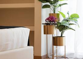 Acropolis Prestige Residence 3