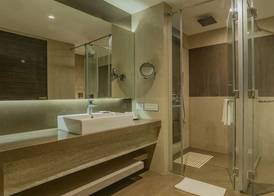 Radisson Udaipur 5
