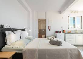 City Penthouse ENA 4
