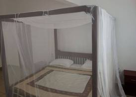 Morning Star Diani 2