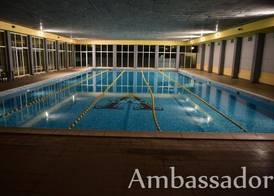 Ambassador 3