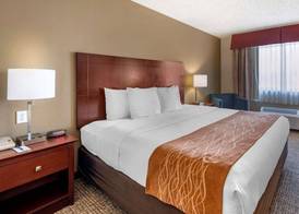 Comfort Inn & Suites Kelso - Longview 5
