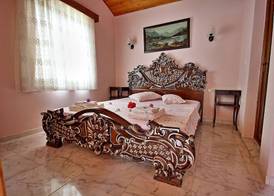 Dalya Life 5