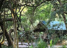 Phophonyane Falls Ecolodge 2