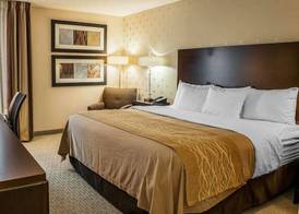 Comfort Inn Bloomington near University 3