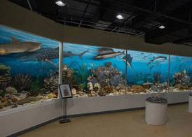Mona YongPyong Hotel 3