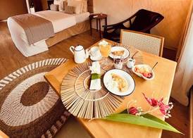 Dolphin Hotel 5