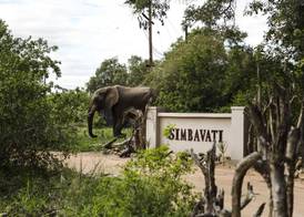 Simbavati River Lodge 4