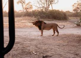 Belmond Safaris - OLD LISTING +remove+ 3